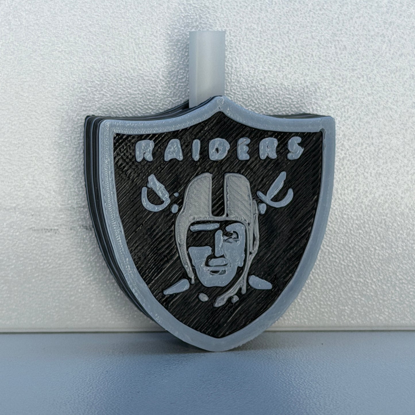 STS01-Raiders